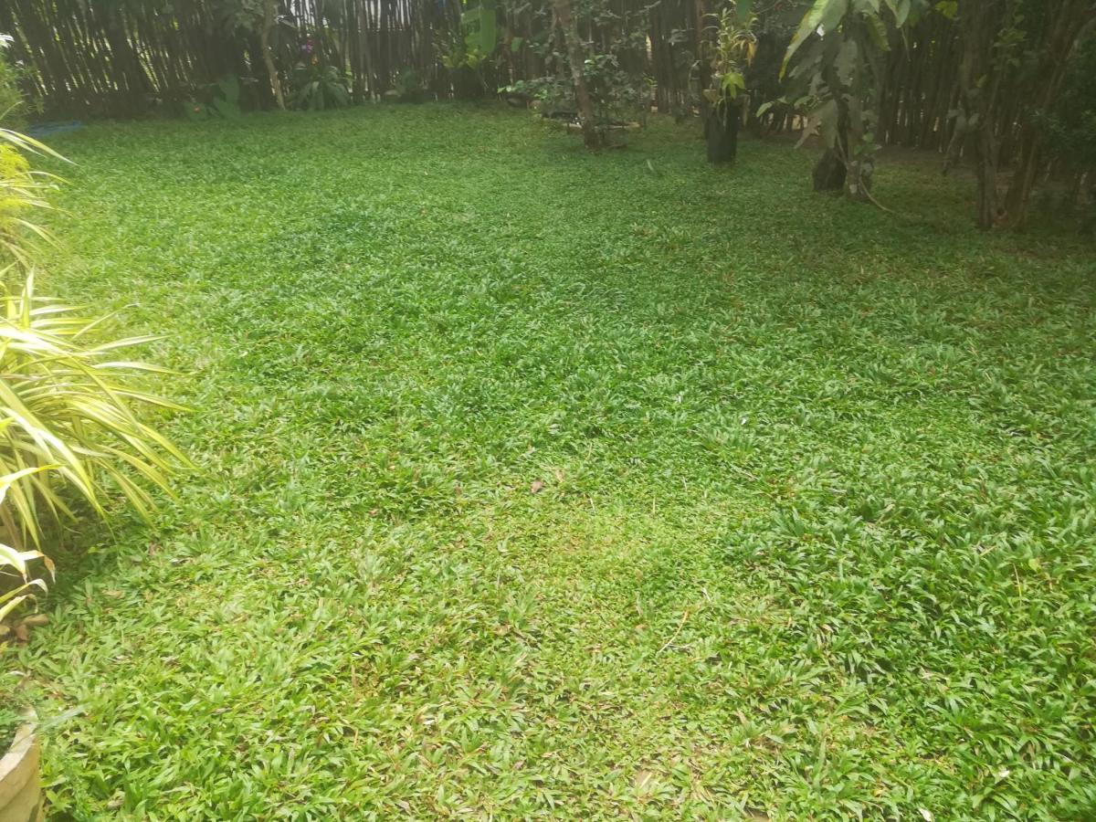 Bamboo Home Stay Hiriketiya Dikwella Esterno foto