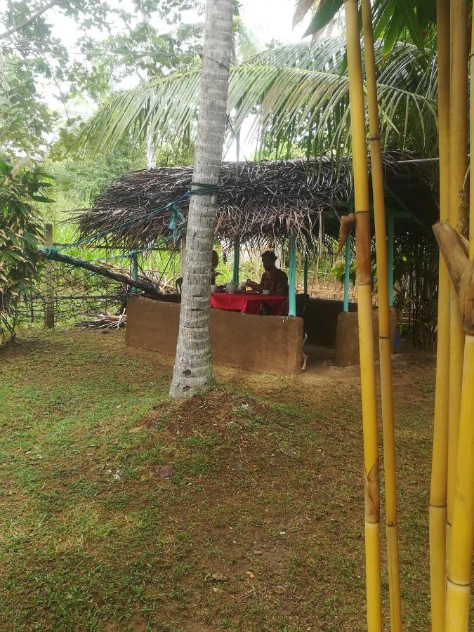 Bamboo Home Stay Hiriketiya Dikwella Esterno foto