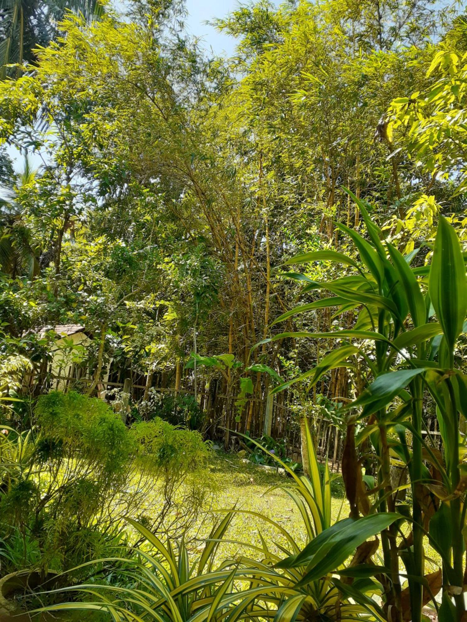 Bamboo Home Stay Hiriketiya Dikwella Esterno foto